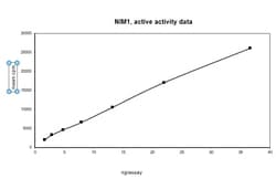 Eurofins DiscoverX NIM1 Protein, Active 10 &mu;g | Buy Online | Eurofins DiscoverX | Fisher Scientific